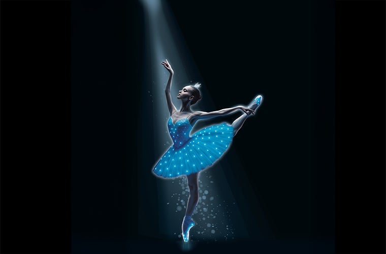 More Info for Swan Lake