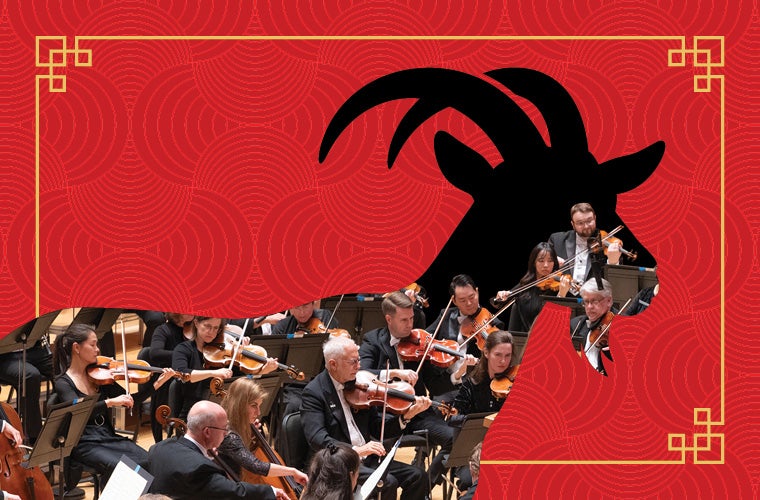 More Info for Lunar New Year Concert
