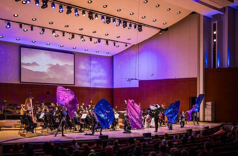 Students at the Symphony: Symphony Safari (ev)