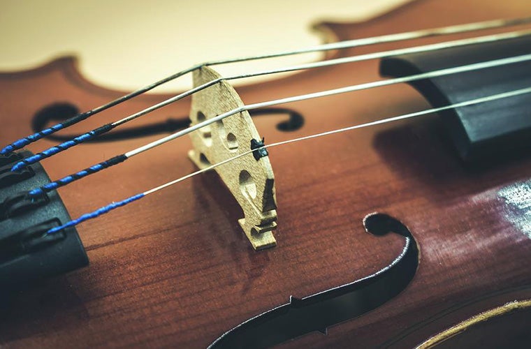 Close-up of violin